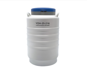 YDH-25-216